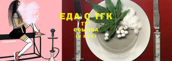 индика Аркадак