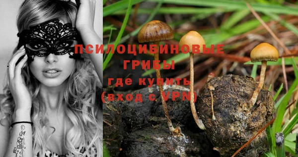 индика Аркадак