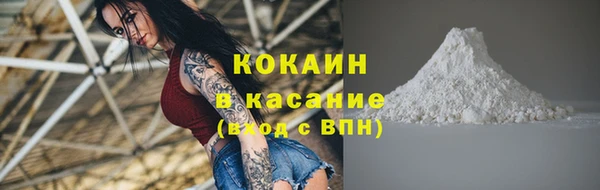 индика Аркадак
