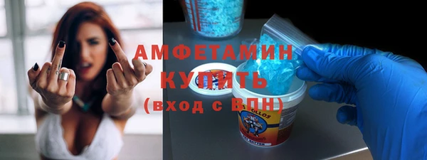 индика Аркадак