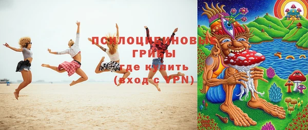 индика Аркадак
