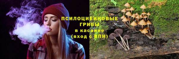 индика Аркадак