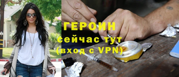 индика Аркадак