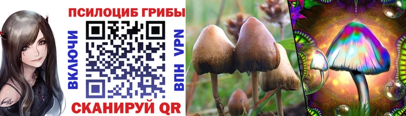 дарнет шоп  Добрянка  Псилоцибиновые грибы Magic Shrooms 